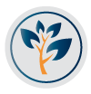 Investment Share