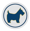 Scottie Savers